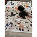 Cute Cat Blanket Animals Pet Pattern Gifts for Cat Lovers Soft Lightweight Flannel Throw Blankets for Kids Adults 50"x40"